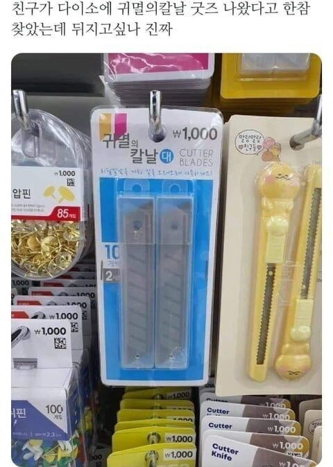 daisocolabo.jpg