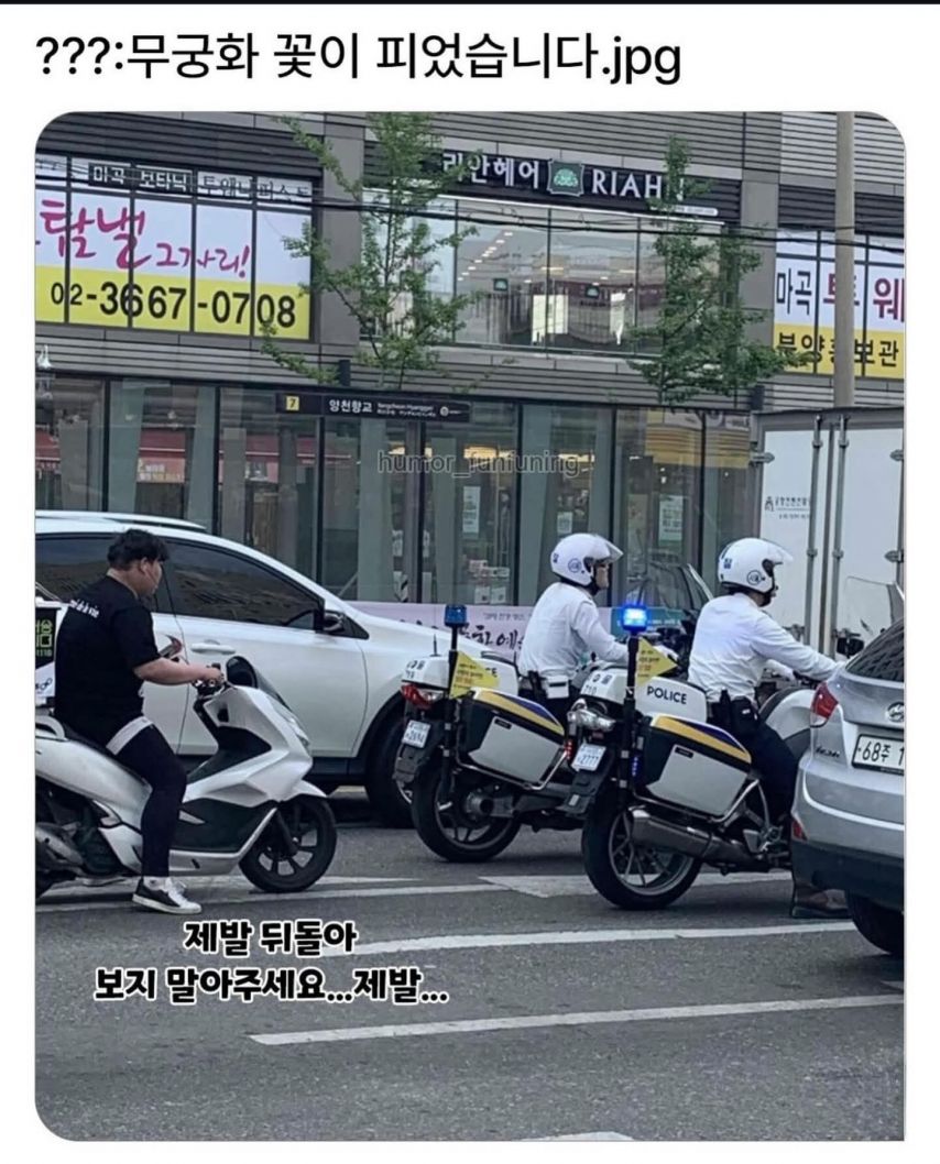 662063037_kxEUl2no_gBHsX4aRmFiv7WZI.jpg