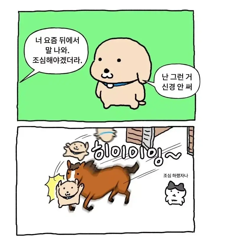 19989679b4a524f83.webp